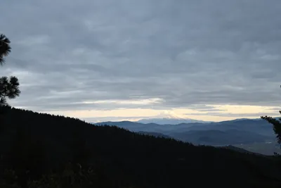 DSC_0126 (Large).JPG